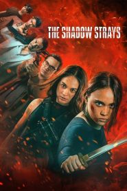 The Shadow Strays 2024 นักฆ่าเงาล่าทรชน พากย์ไทย